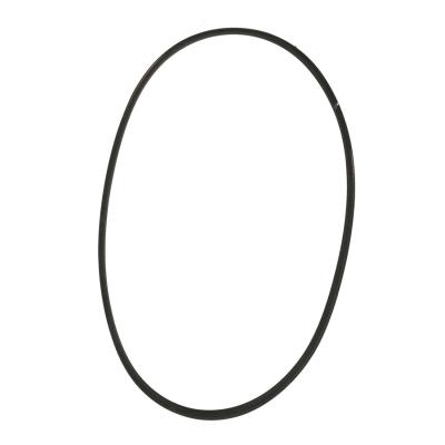 WW01F01756 GE Washer Drive Belt